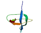 Chromosome 1 Open Reading Frame 50 (C1orf50)