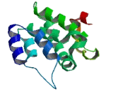 Chromosome 1 Open Reading Frame 54 (C1orf54)