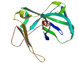 Methylated In Normal Thymocytes Protein (MENT)