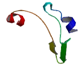 Transmembrane Protein 240 (TMEM240)