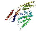 Chromosome 1 Open Reading Frame 87 (C1orf87)