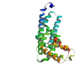 Centriole, Cilia And Spindle Associated Protein (CCSAP)