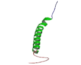 Chromosome 1 Open Reading Frame 162 (C1orf162)