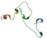 DNAJC9 Antisense Gene Protein 1 (DNAJC9-AS1)