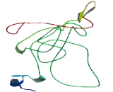 Chromosome 10 Open Reading Frame 105 (C10orf105)