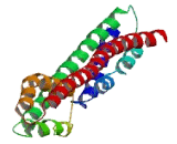 Chromosome 10 Open Reading Frame 107 (C10orf107)