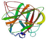 MAM And LDL Receptor Class A Domain Containing Protein 1 (MALRD1)