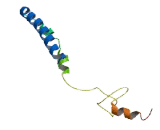 Chromosome 10 Open Reading Frame 120 (C10orf120)