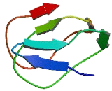 Chromosome 10 Open Reading Frame 128 (C10orf128)