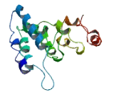 Chromosome 10 Open Reading Frame 131 (C10orf131)