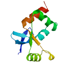 SKI/DACH Domain Containing Protein 1 (SKIDA1)