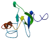 Chromosome 10 Open Reading Frame 25 (C10orf25)