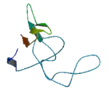 Chromosome 10 Open Reading Frame 40 (C10orf40)