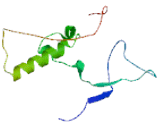 Chromosome 10 Open Reading Frame 52 (C10orf52)