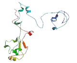 Chromosome 10 Open Reading Frame 62 (C10orf62)