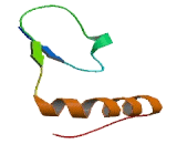 Chromosome 10 Open Reading Frame 67 (C10orf67)