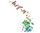 Chromosome 10 Open Reading Frame 71 (C10orf71)