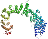 Chromosome 10 Open Reading Frame 76 (C10orf76)