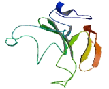 Chromosome 10 Open Reading Frame 85 (C10orf85)