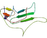 Chromosome 11 Open Reading Frame 1 (C11orf1)