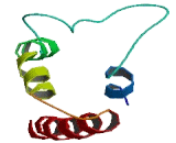 Transmembrane Protein 258 (TMEM258)