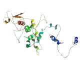 Chromosome 11 Open Reading Frame 16 (C11orf16)