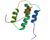 Testis Expressed Protein 40 (TEX40)