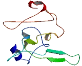 Chromosome 11 Open Reading Frame 21 (C11orf21)