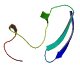 Chromosome 11 Open Reading Frame 44 (C11orf44)