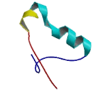 ARL14 Effector Protein (ARL14EP)