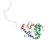 Chromosome 11 Open Reading Frame 49 (C11orf49)