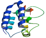 Anaphase Promoting Complex Subunit 15 (ANAPC15)