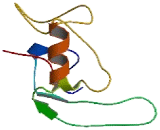 Chromosome 11 Open Reading Frame 55 (C11orf55)