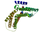 Chromosome 11 Open Reading Frame 57 (C11orf57)