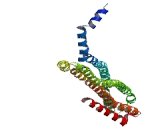 Myb/SANT Like DNA Binding Domain Containing Protein 2 (MSANTD2)