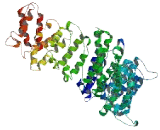 Chromosome 11 Open Reading Frame 63 (C11orf63)