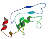 Chromosome 11 Open Reading Frame 65 (C11orf65)