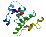 Chromosome 11 Open Reading Frame 70 (C11orf70)