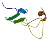 Chromosome 11 Open Reading Frame 71 (C11orf71)