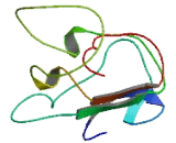 Chromosome 11 Open Reading Frame 72 (C11orf72)