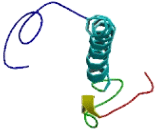 Chromosome 11 Open Reading Frame 73 (C11orf73)