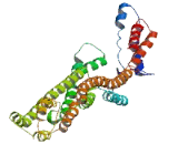 Chromosome 11 Open Reading Frame 80 (C11orf80)