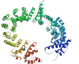 Nitric Oxide Inducible Gene Protein (NOXIN)