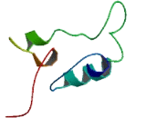 Ubiquinol Cytochrome C Reductase Complex Assembly Factor 3 (UQCC3)