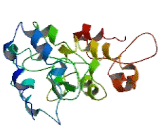 Chromosome 11 Open Reading Frame 84 (C11orf84)