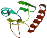 Chromosome 11 Open Reading Frame 85 (C11orf85)