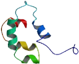 Chromosome 11 Open Reading Frame 87 (C11orf87)