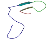 Chromosome 11 Open Reading Frame 91 (C11orf91)