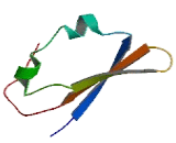 Chromosome 11 Open Reading Frame 95 (C11orf95)