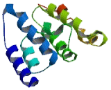 Transmembrane Protein 263 (TMEM263)